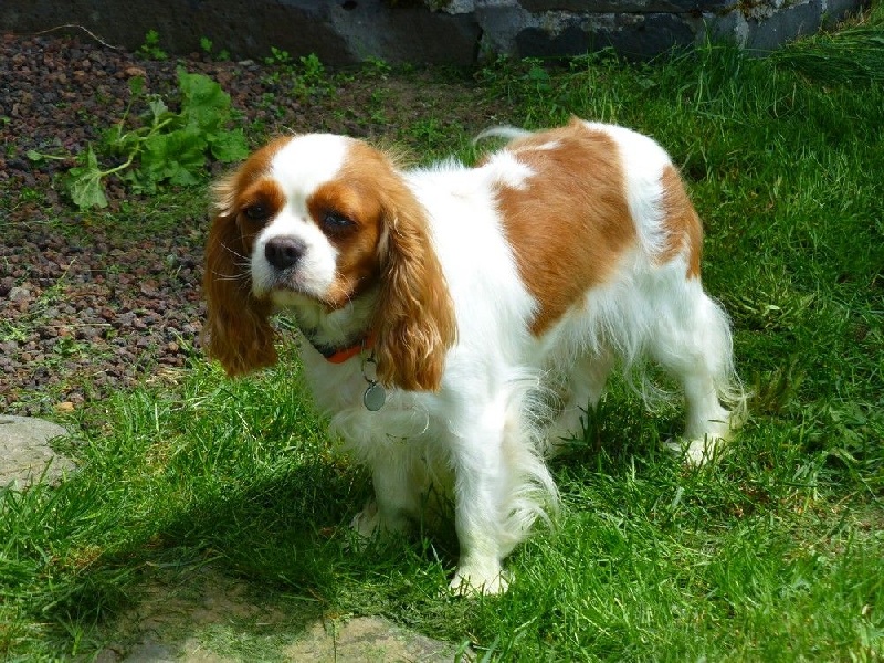 Graine de malice dite gessie of boarders Lander and Sea