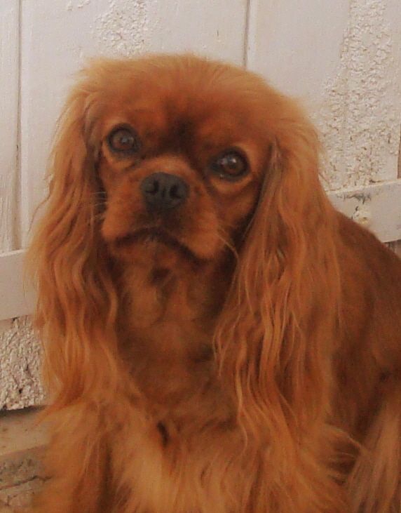 Icloud of boarders Lander and Sea