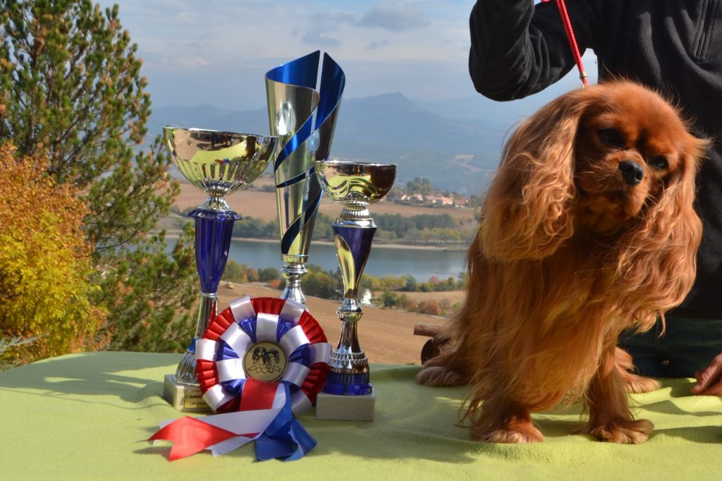 CH. Lancôme of boarders Lander and Sea