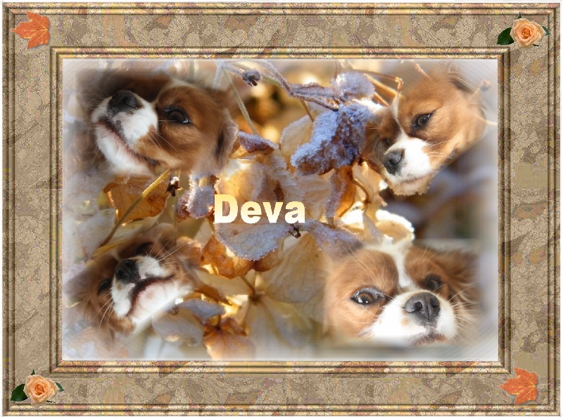 Deva